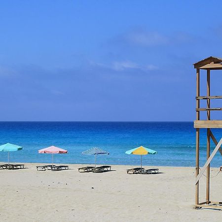 Bee House Apartment Kissamos Bagian luar foto